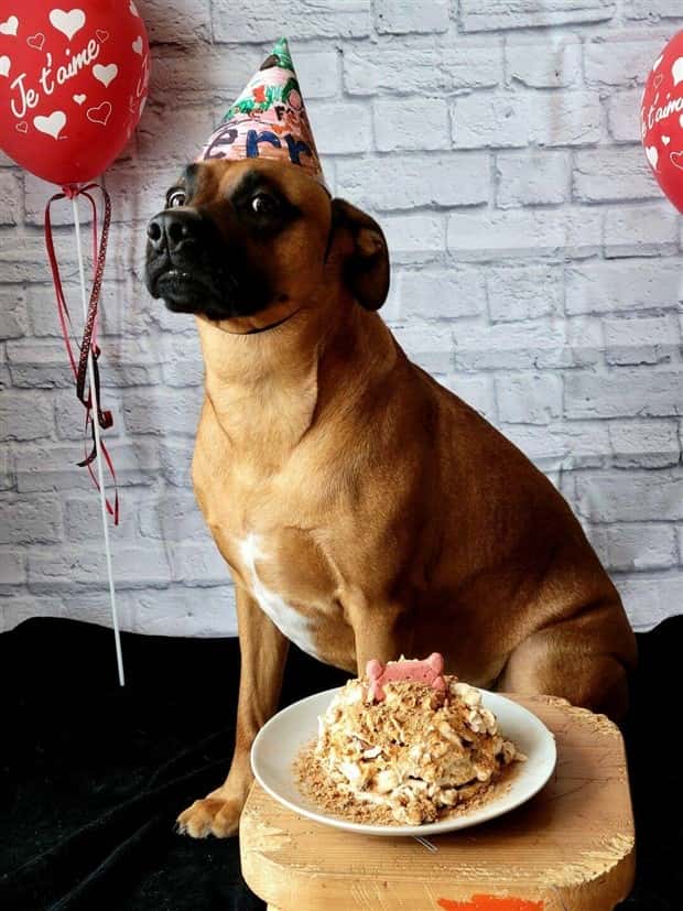 Klyker Picdump #1599 (44 photos)