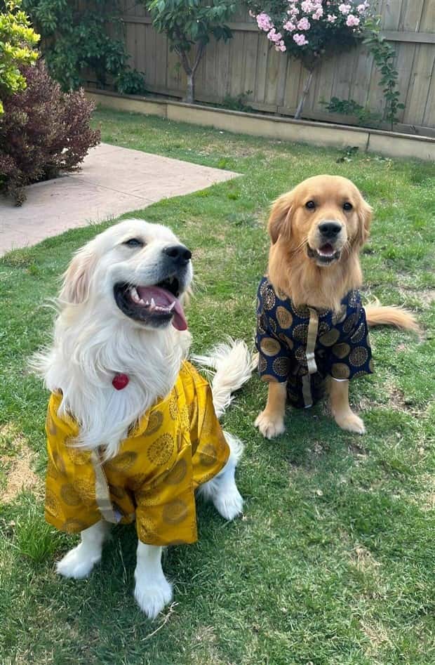 Klyker Picdump #1599 (44 photos)