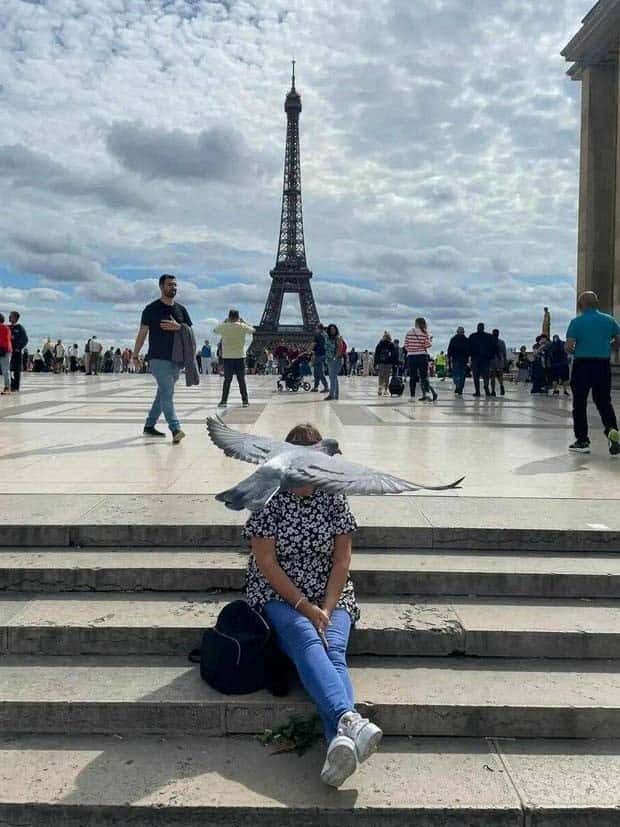 Klyker Picdump #1599 (44 photos)