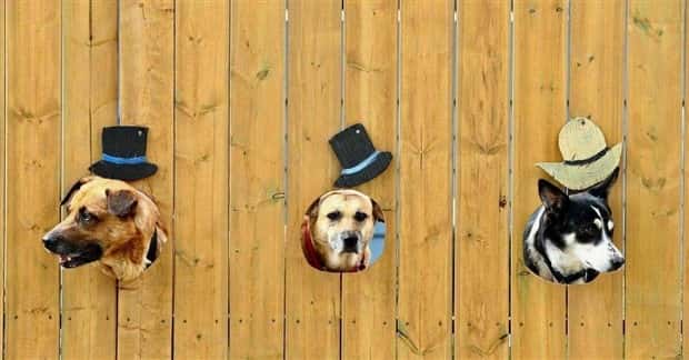 Klyker Picdump #1599 (44 photos)