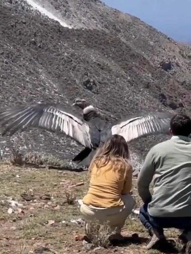 Klyker Picdump #1599 (44 photos)