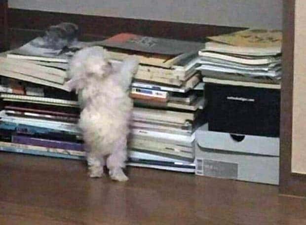 Klyker Picdump #1601 (41 photos)