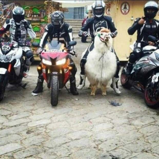 Klyker Picdump #1601 (41 photos)