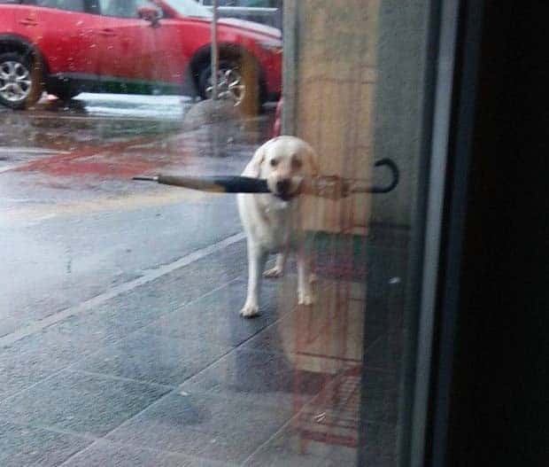 Klyker Picdump #1601 (41 photos)