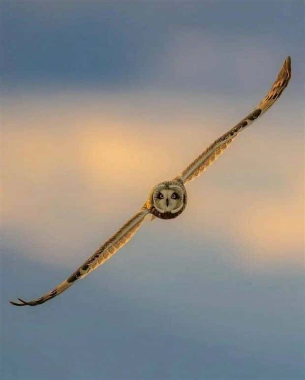 Klyker Picdump #1601 (41 photos)