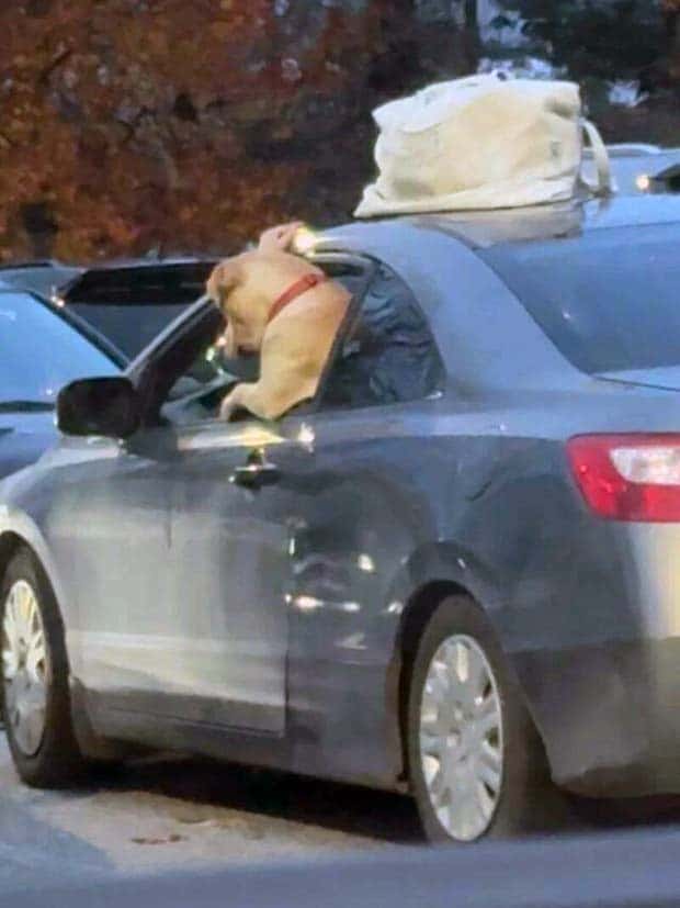 klyker picdump 11 27 2024 19 Klyker Picdump #1603 (43 photos)