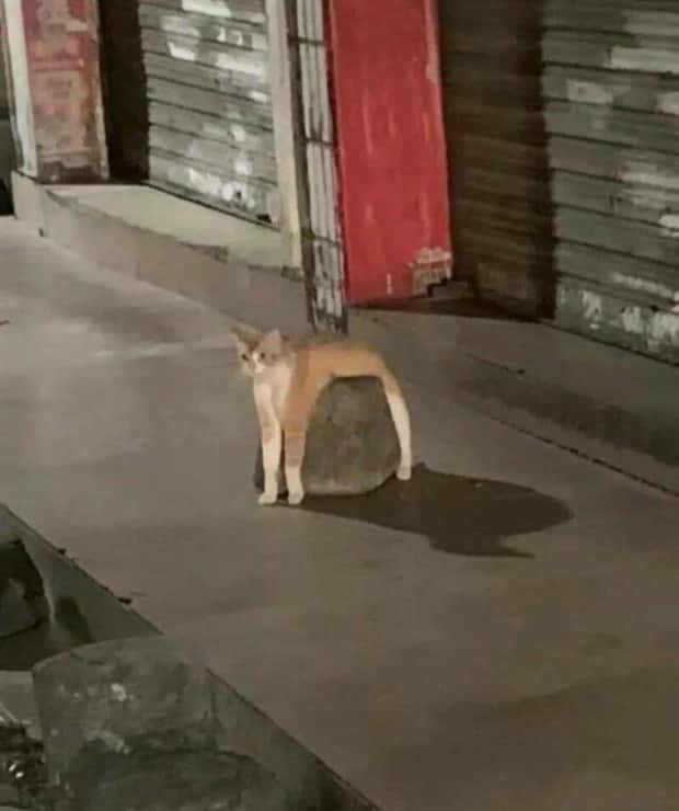 klyker picdump 11 27 2024 33 Klyker Picdump #1603 (43 photos)