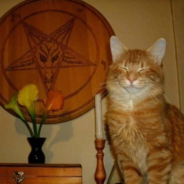 klyker picdump 11 27 2024 37 Klyker Picdump #1603 (43 photos)