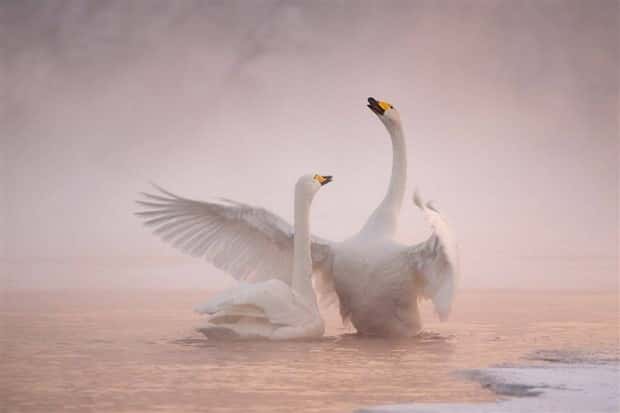 Klyker Picdump #1589 (44 photos)