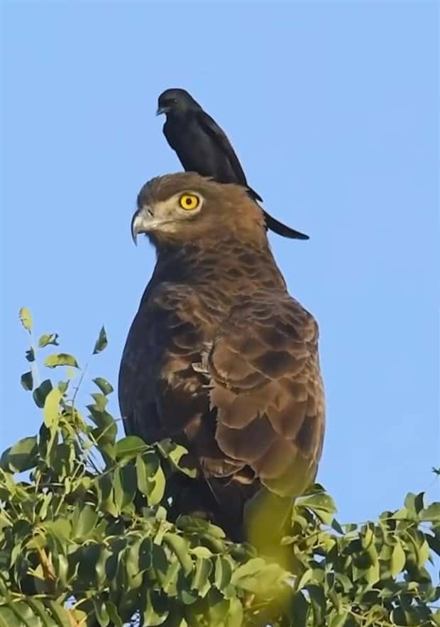 Klyker Picdump #1589 (44 photos)