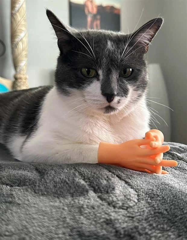 Klyker Picdump #1589 (44 photos)