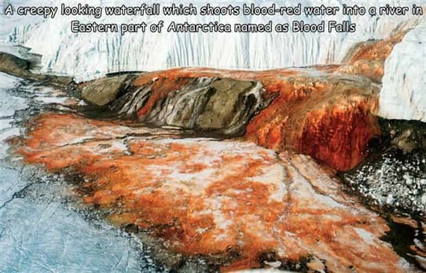 Interesting Pictures with Captions #130 (27 photos)