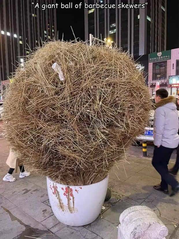 Interesting Pictures with Captions #131 (25 photos)