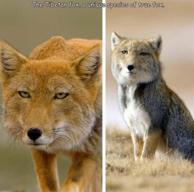 Interesting Pictures with Captions #131 (25 photos)