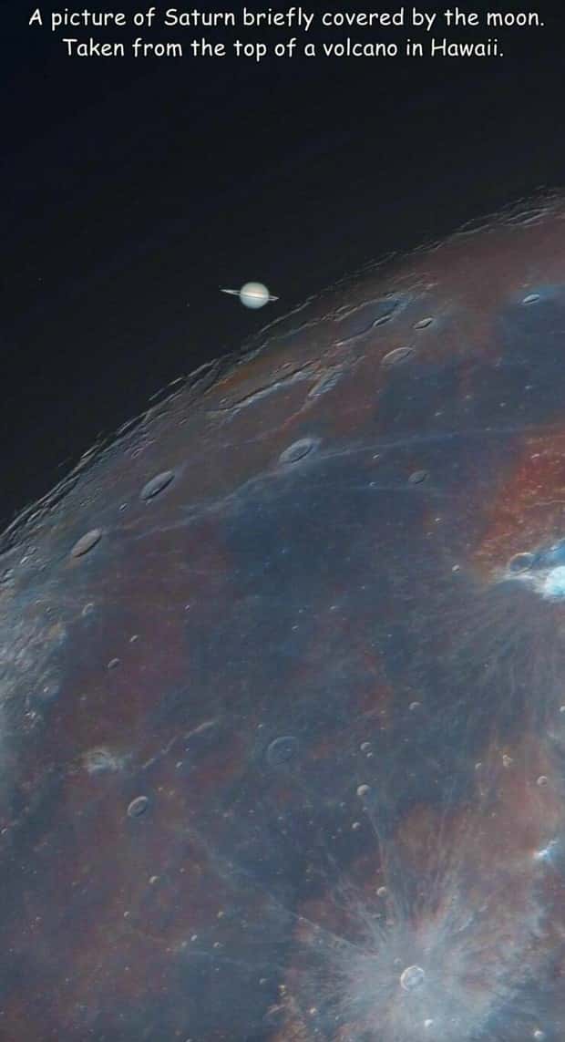 Interesting Pictures with Captions #131 (25 photos)