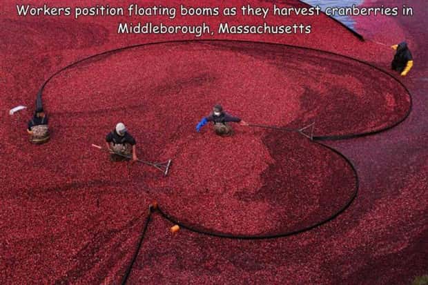 Interesting Pictures with Captions #130 (27 photos)