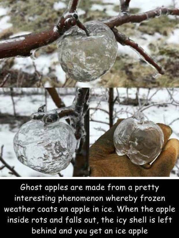 Interesting Pictures with Captions #131 (25 photos)