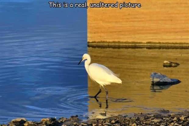 Interesting Pictures with Captions #128 (22 photos)