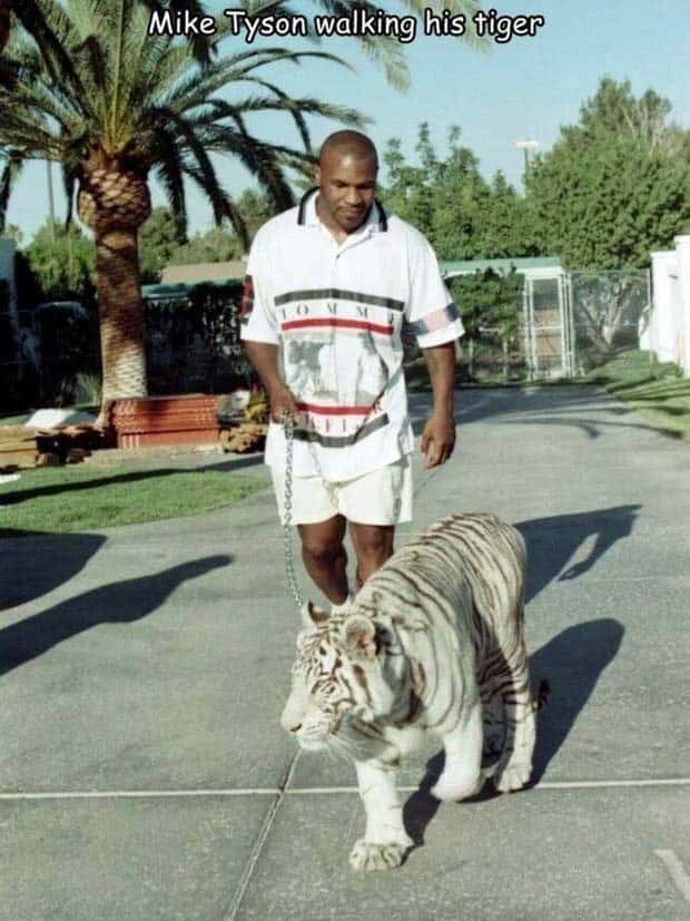 Interesting Pictures with Captions #130 (27 photos)