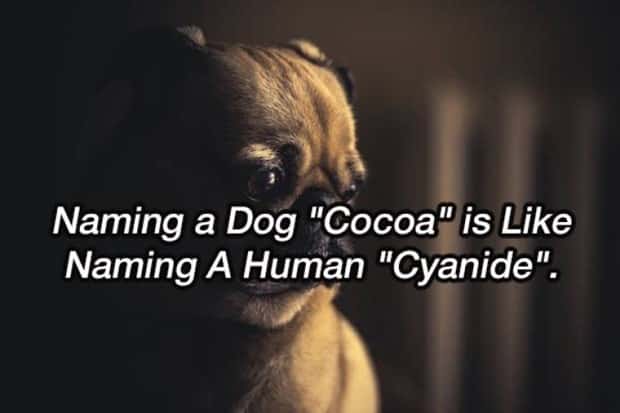 Funny Shower Thoughts #129 (25 photos)