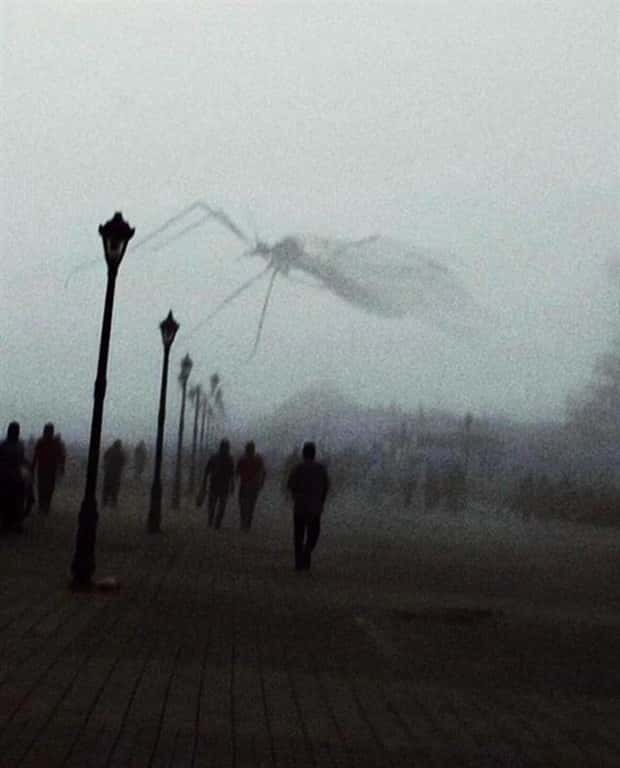weird internet 13 1 Welcome to the Weird Side of the Internet #193 (25 photos)