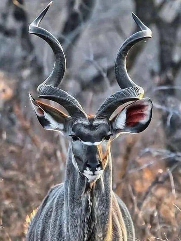 Awesome Pictures You Shouldn’t Miss #133 (26 photos)