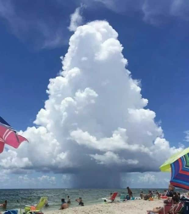 Awesome Pictures You Shouldn’t Miss #133 (26 photos)