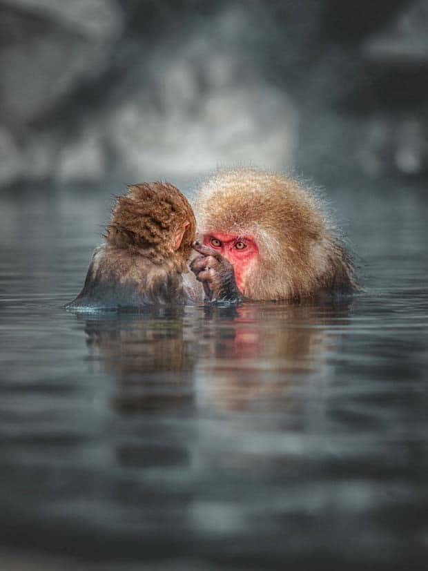 Awesome Pictures You Shouldn’t Miss #133 (26 photos)