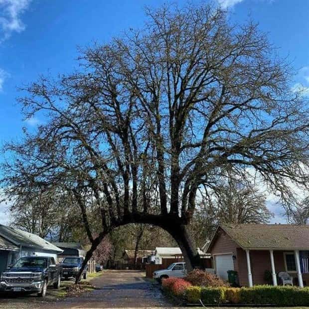 Awesome Pictures You Shouldn’t Miss #130 (23 photos)