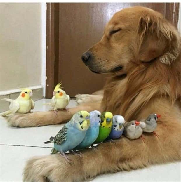awesome pictures 14 1 Awesome Pictures You Shouldn’t Miss #132 (27 photos)