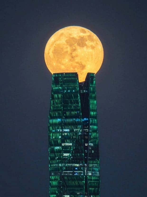 Awesome Pictures You Shouldn’t Miss #133 (26 photos)