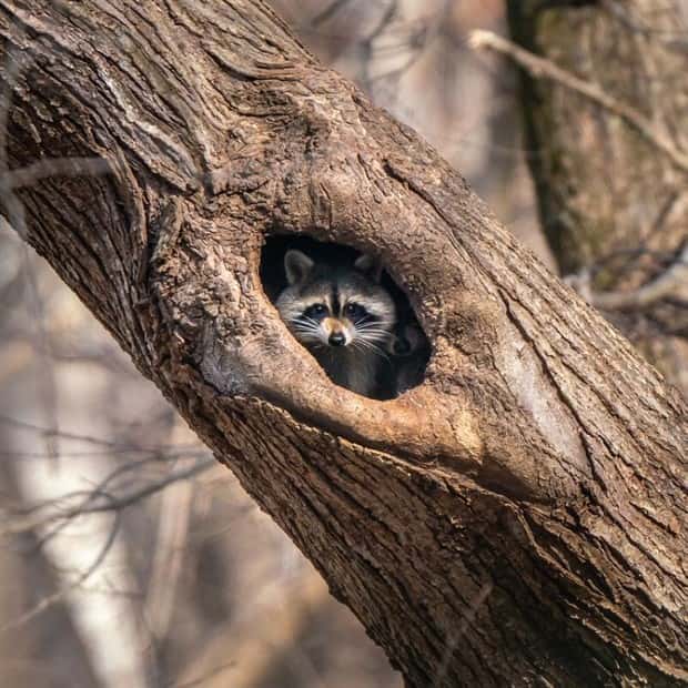 Awesome Pictures You Shouldn’t Miss #130 (23 photos)