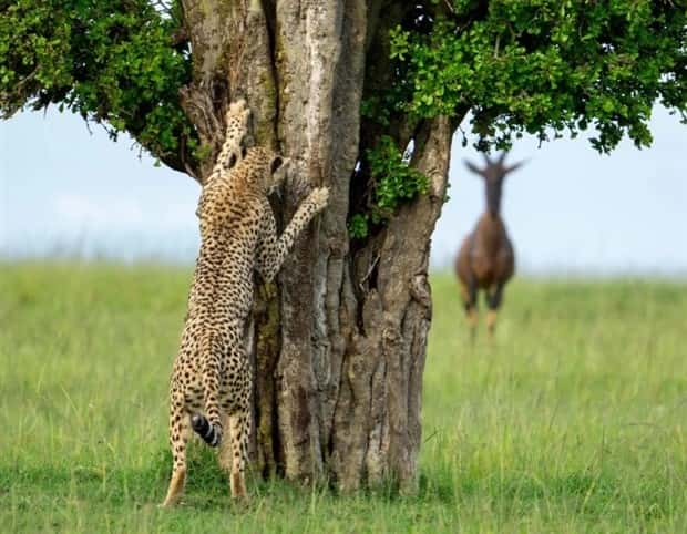 awesome pictures 17 1 Awesome Pictures You Shouldn’t Miss #132 (27 photos)
