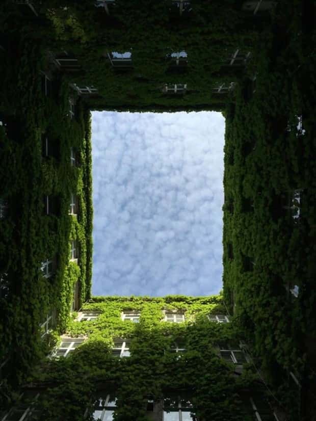 awesome pictures 18 1 Awesome Pictures You Shouldn’t Miss #132 (27 photos)