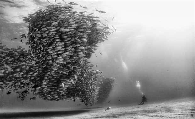 Awesome Pictures You Shouldn’t Miss #130 (23 photos)