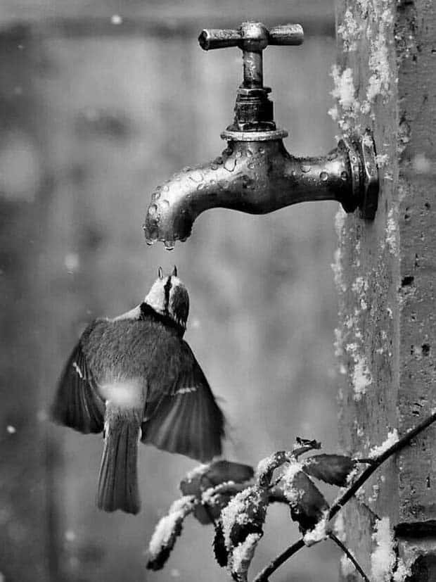 awesome pictures 20 1 Awesome Pictures You Shouldn’t Miss #132 (27 photos)