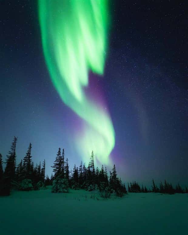 Awesome Pictures You Shouldn’t Miss #133 (26 photos)