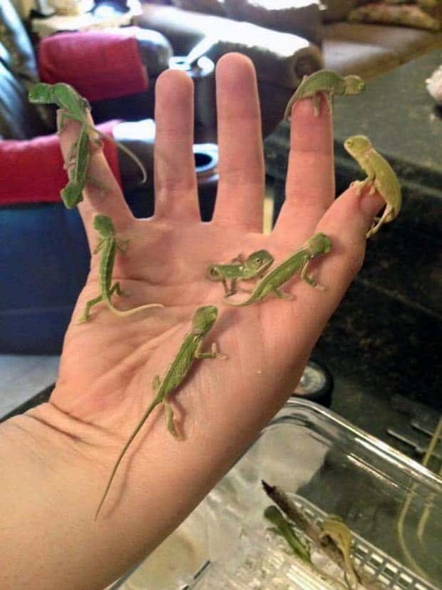 Awesome Pictures You Shouldn’t Miss #133 (26 photos)