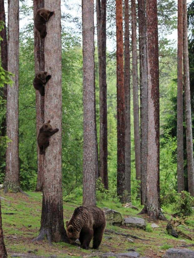 Awesome Pictures You Shouldn’t Miss #130 (23 photos)