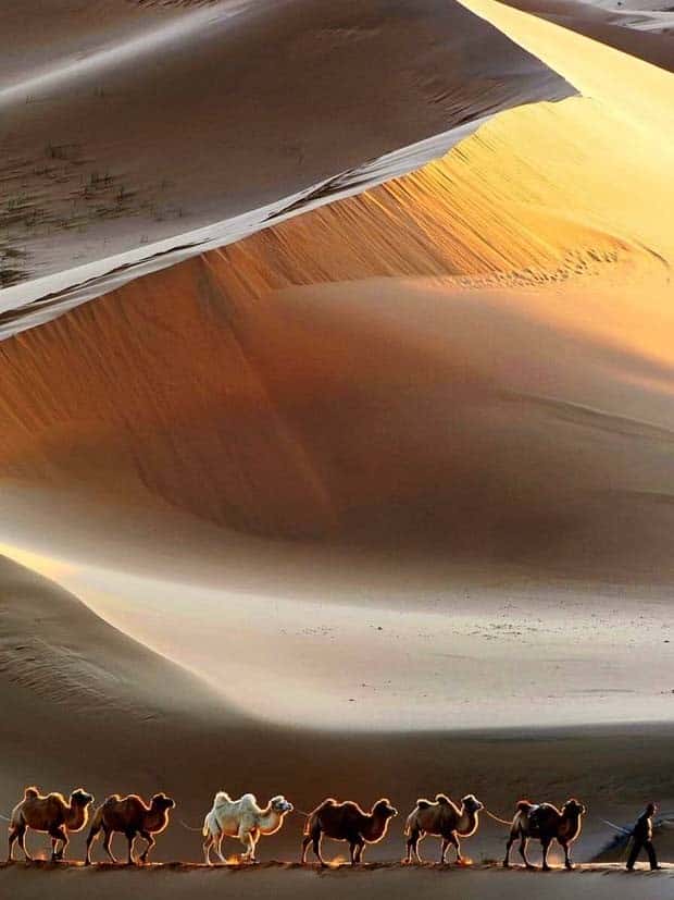 awesome pictures 24 Awesome Pictures You Shouldn’t Miss #132 (27 photos)