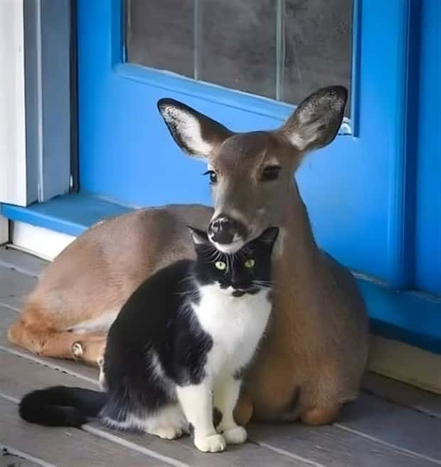 Awesome Pictures You Shouldn’t Miss #130 (23 photos)