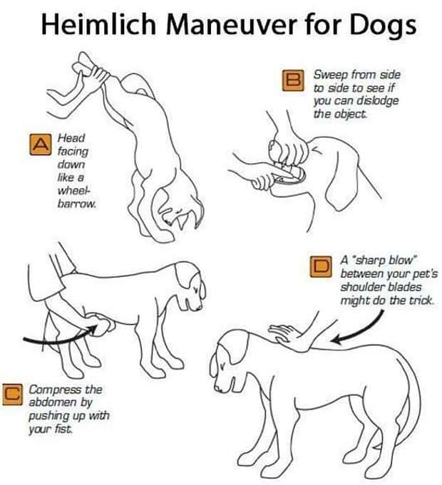 charts maps 7 Charts and Maps with Intriguing Data #134 (20 photos)