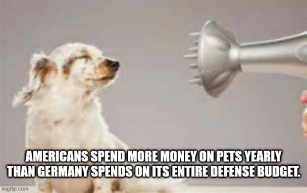 cool facts 8 It’s Time for Some Cool and Interesting Facts #406 (22 photos)