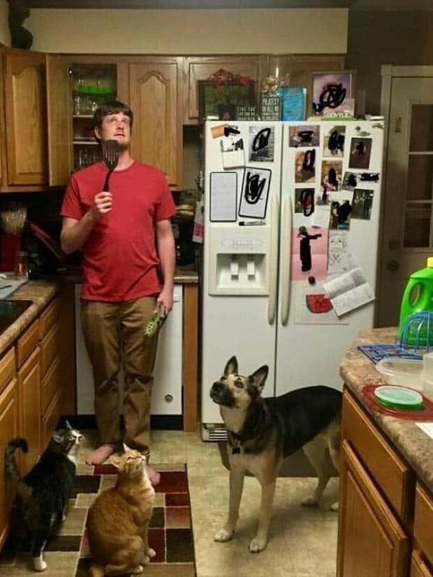 Old Family Albums Overflow with Cringy Photos (32 photos)