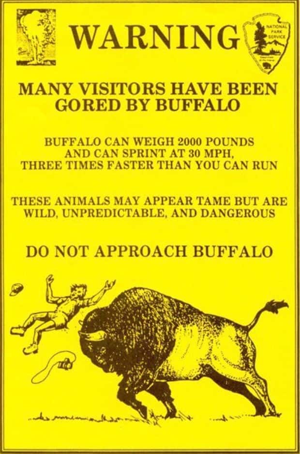 Brutally Honest Signs About Danger (31 photos)