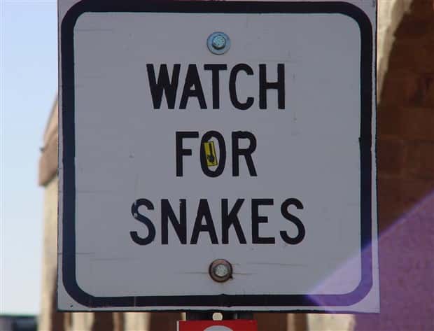 Brutally Honest Signs About Danger (31 photos)