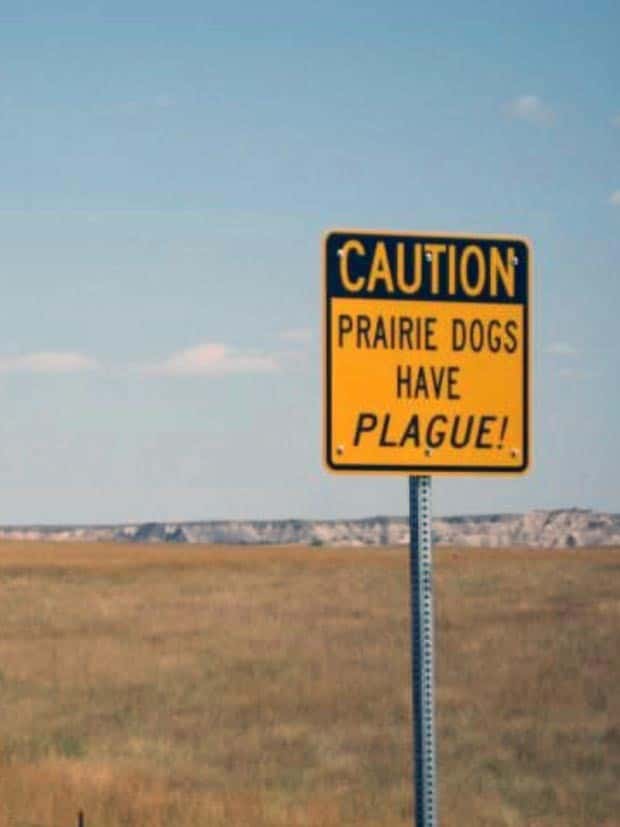 Brutally Honest Signs About Danger (31 photos)