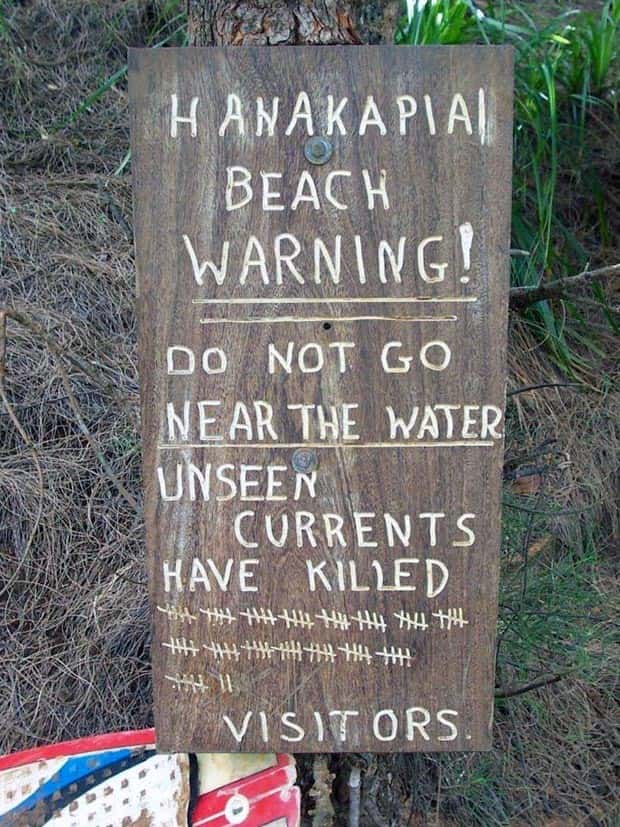 Brutally Honest Signs About Danger (31 photos)