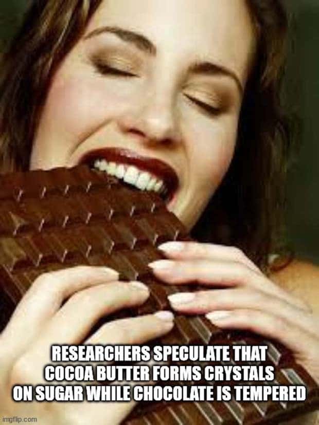 It’s Time for Some Cool and Interesting Facts #409 (24 photos)