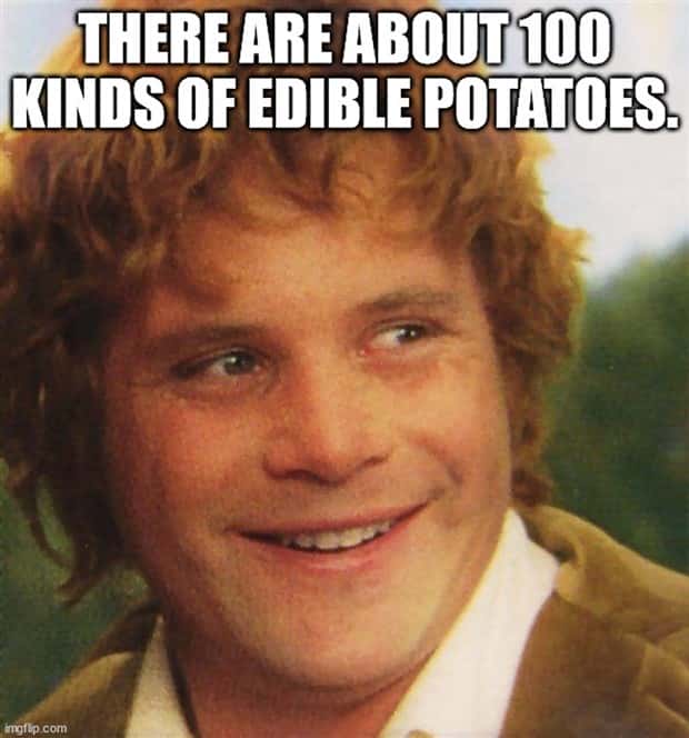 It’s Time for Some Cool and Interesting Facts #409 (24 photos)